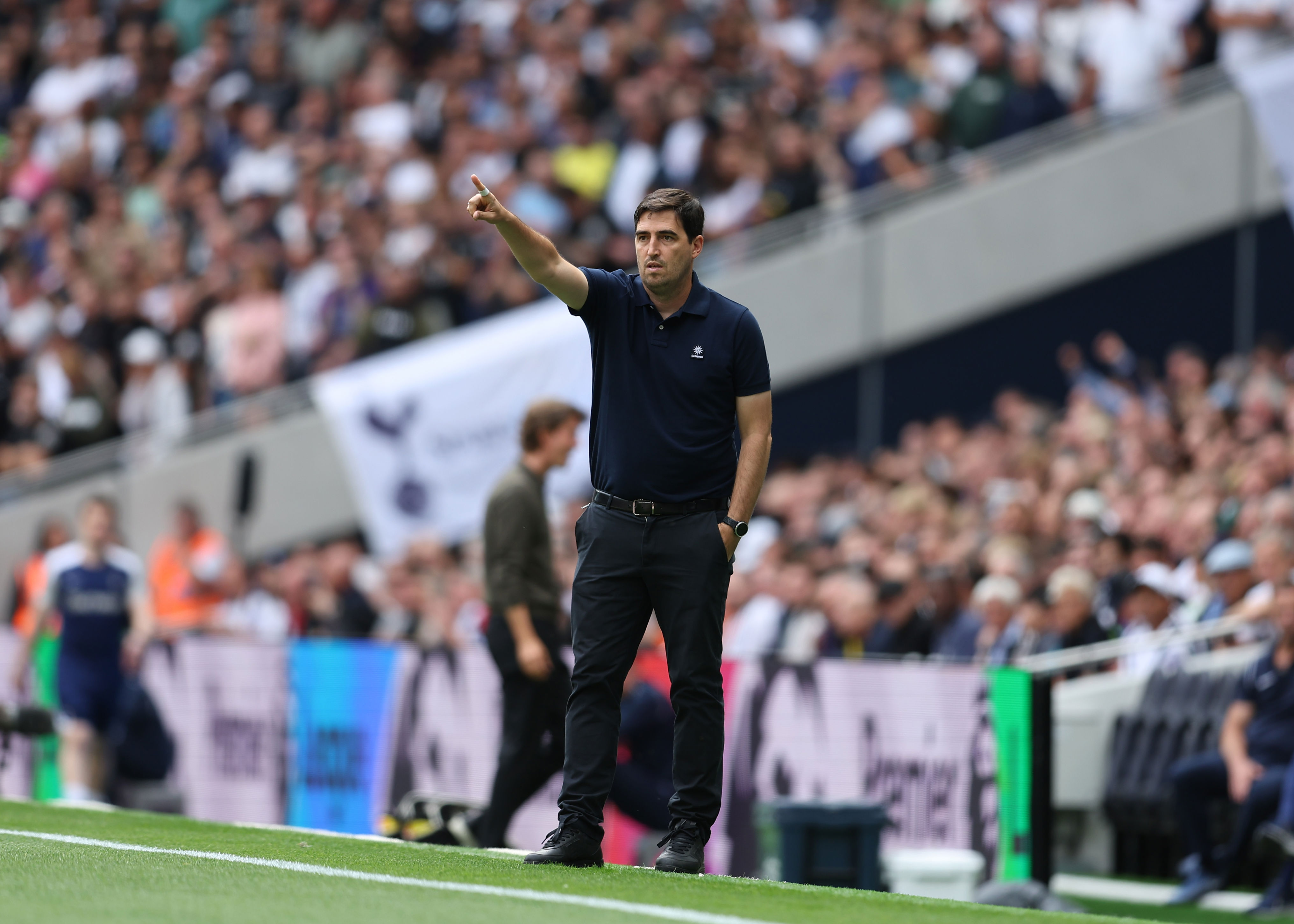 明年夏天到, 的关注